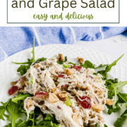 A bowl of creamy chicken salad with halved red grapes, chopped walnuts, and green celery, served on a bed of fresh mixed greens.